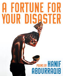 A Fortune for Your Disaster cover